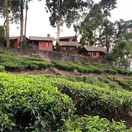 Holacasa Cottages Munnar Exterior photo