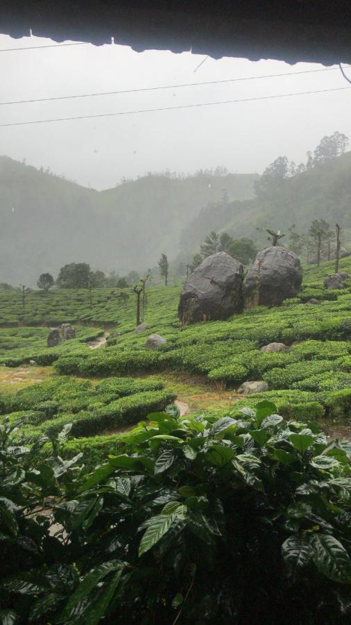 Holacasa Cottages Munnar Exterior photo