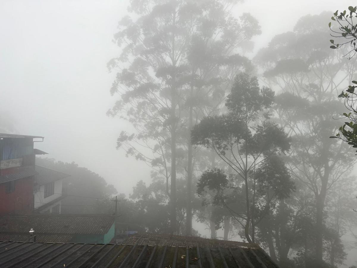 Holacasa Cottages Munnar Exterior photo